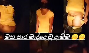 Sri lankan aunty open-air pissing video